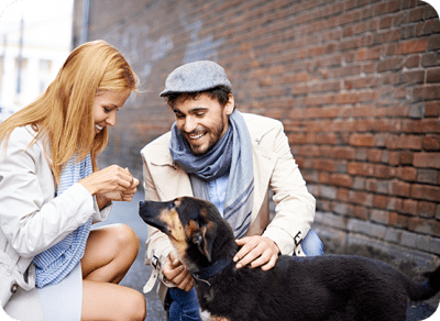 adozione canile viardi