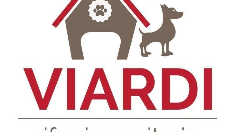 Il nostro primo anno