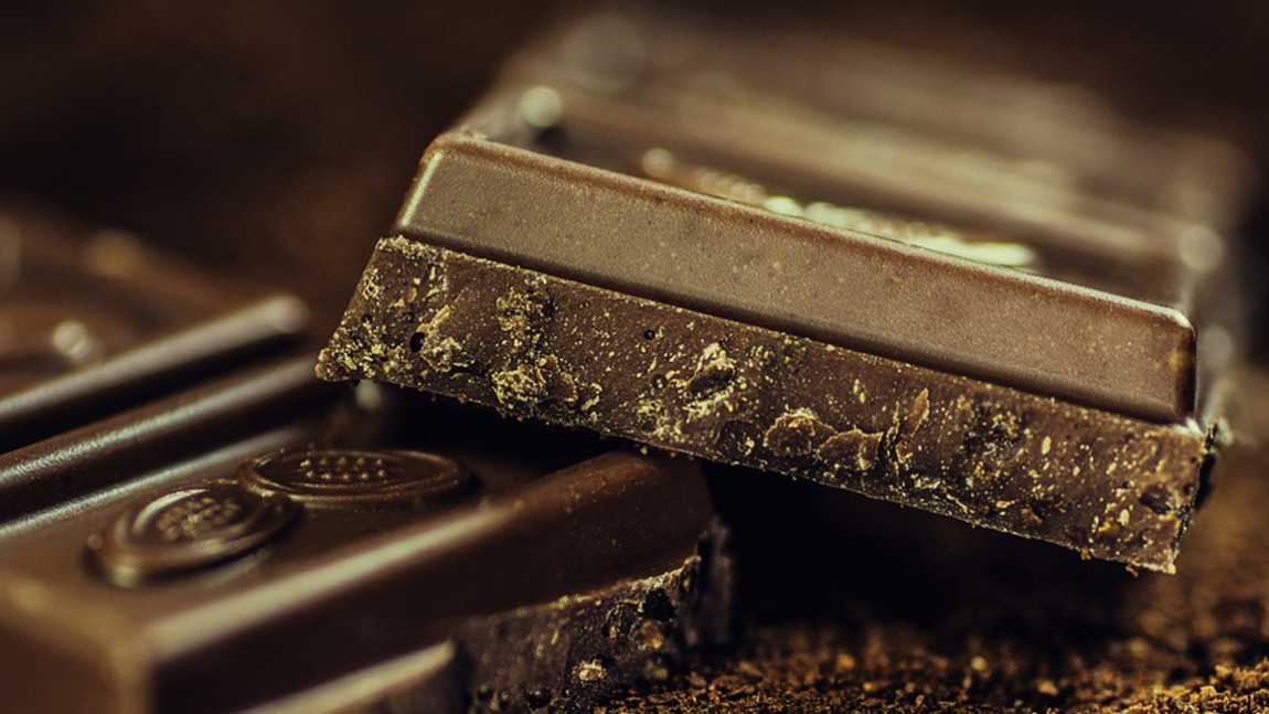 Cioccolato: quanto è pericoloso per i cani?