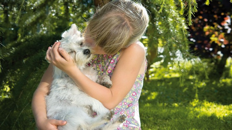 La Pet Therapy: il potere curativo dei cani