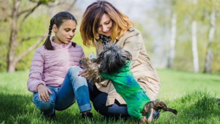 Come riconoscere se un cane è geloso