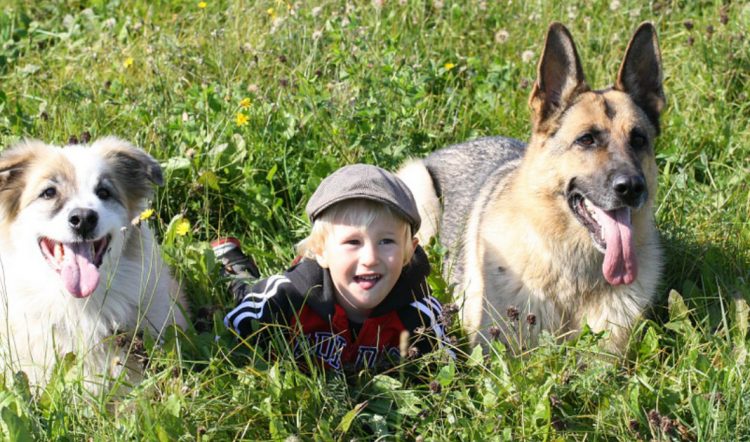 Cani e bambini: per crescere bene insieme